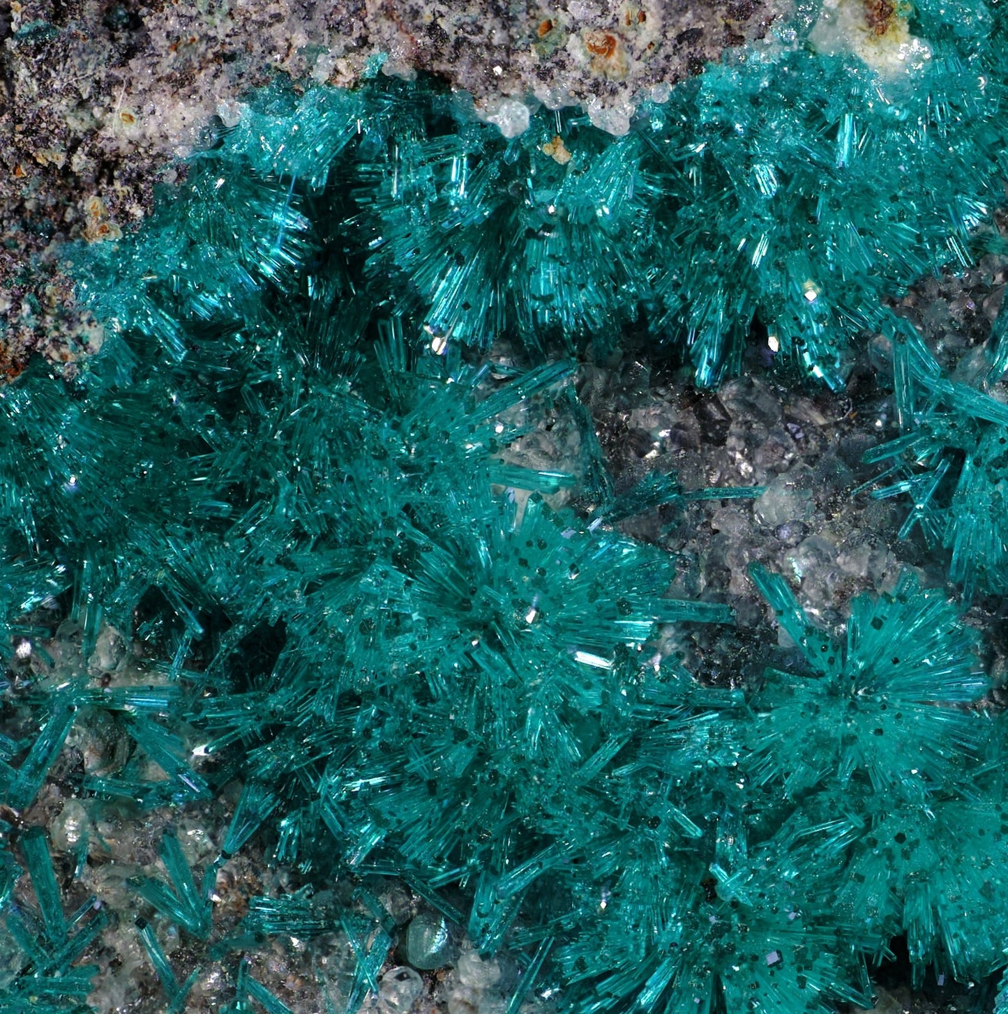 Dioptase with Chrysocolla and Apophyllite