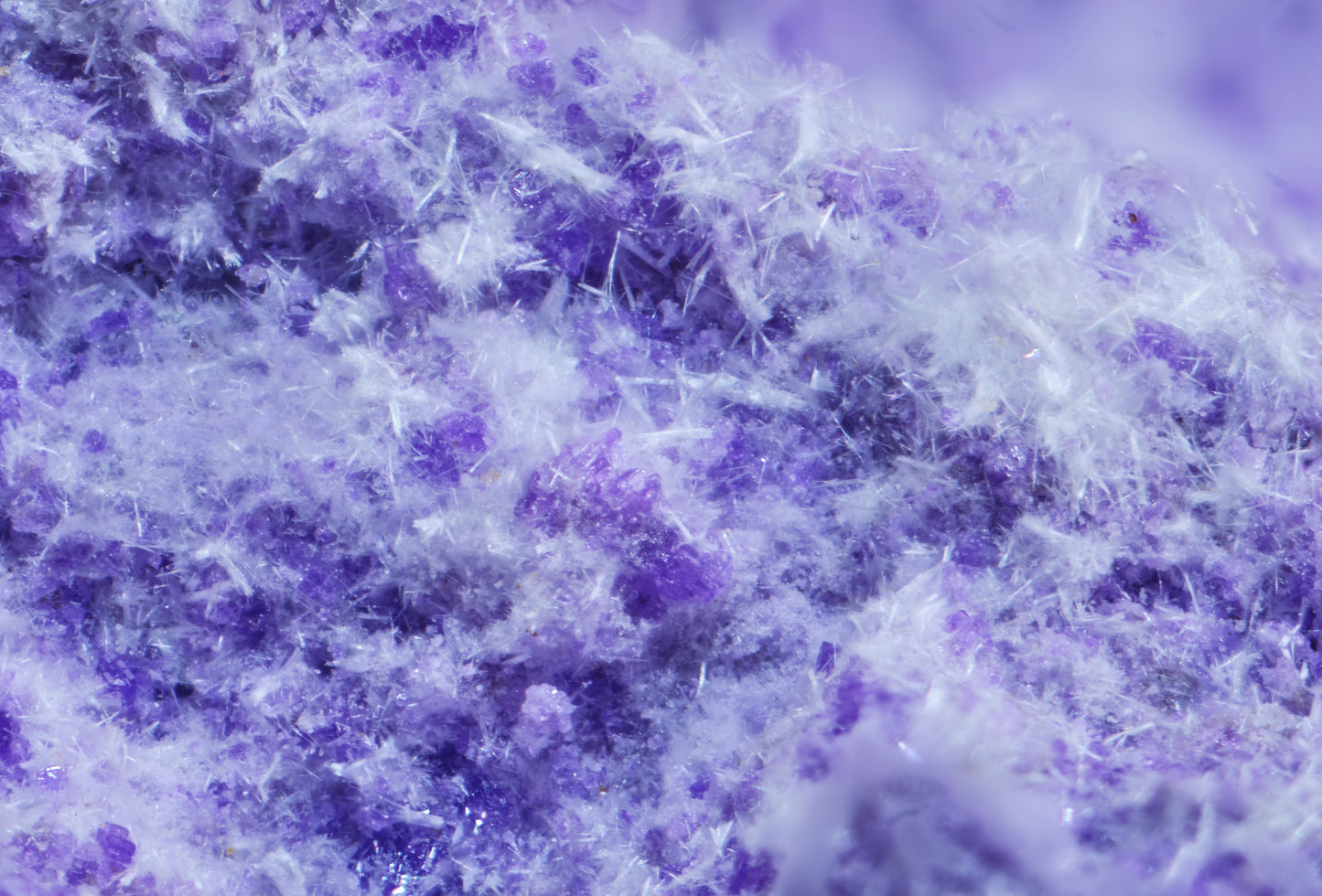 Sugilite with Pectolite