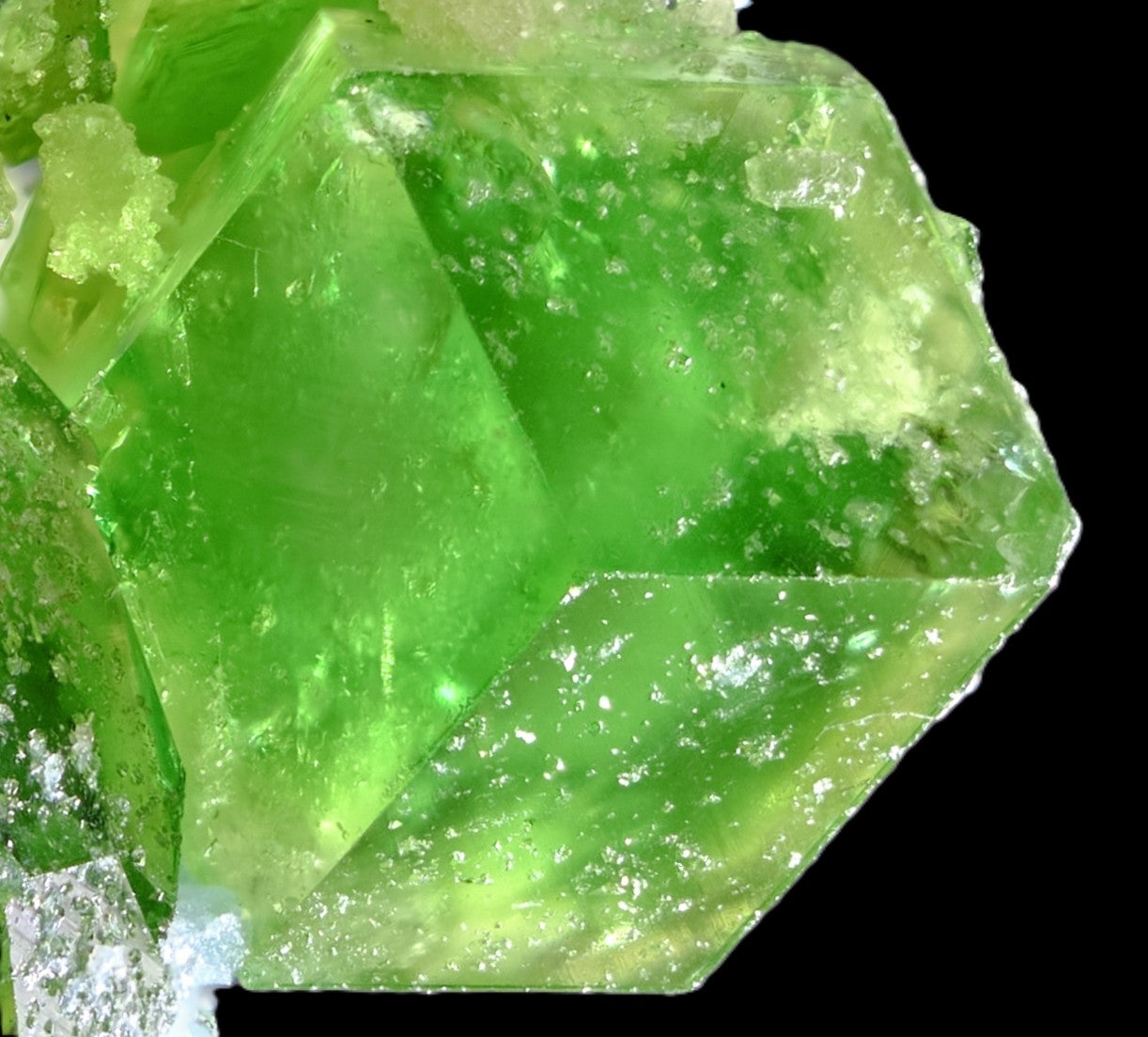 Garnet (var. Chromian Grossular) with Vesuvianite