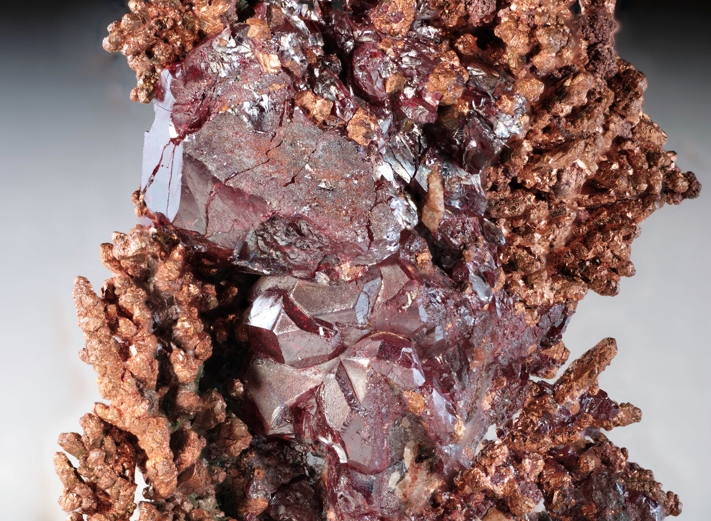 Cuprite on Dendritic Copper
