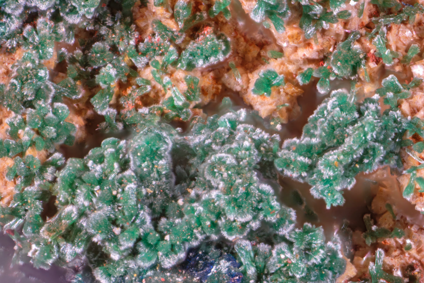 Azurite with Cerussite