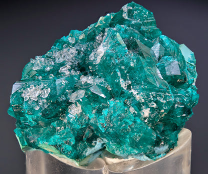 Dioptase with Plancheite and Drusy Quartz