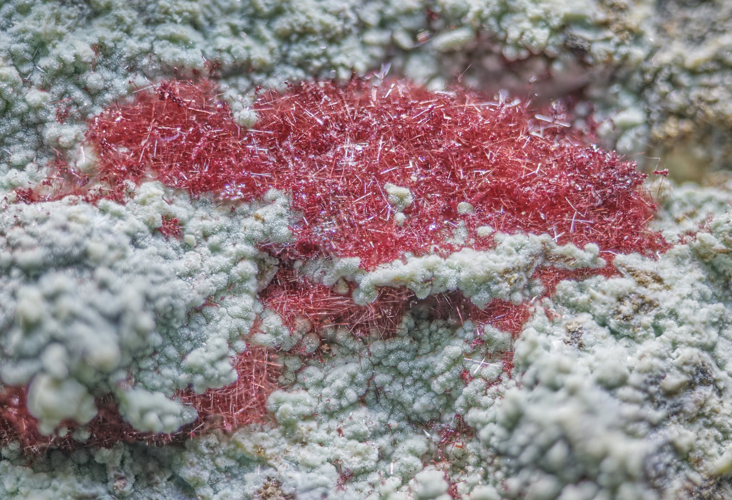 Cuprite (Var: Chalcotrichite) on Chrysocolla