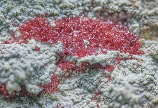 Cuprite (Var: Chalcotrichite) on Chrysocolla