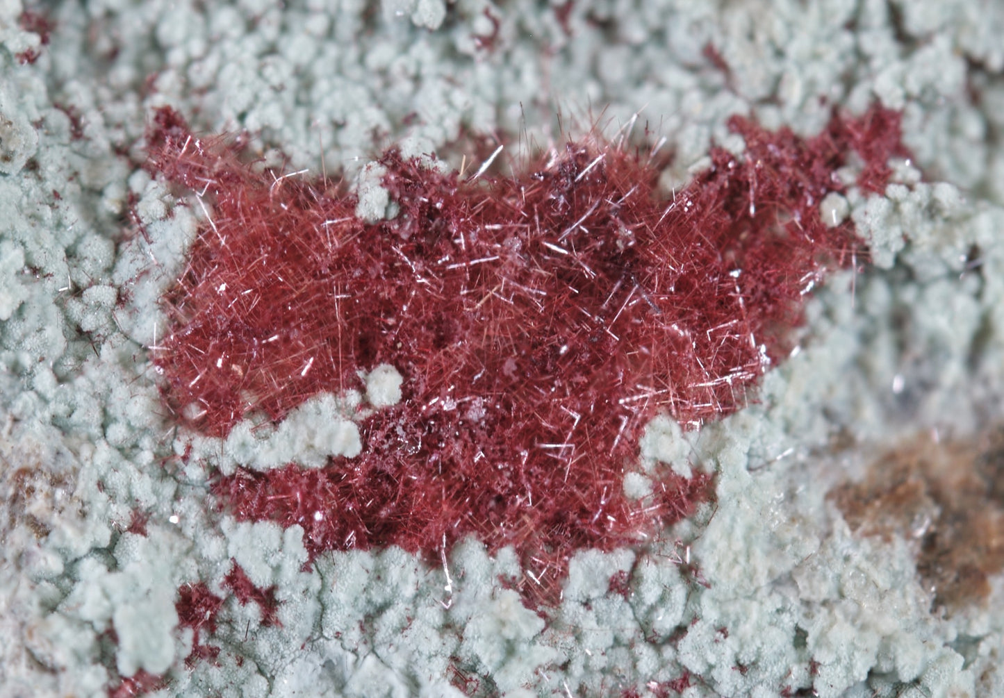 Cuprite (Var: Chalcotrichite) on Chrysocolla