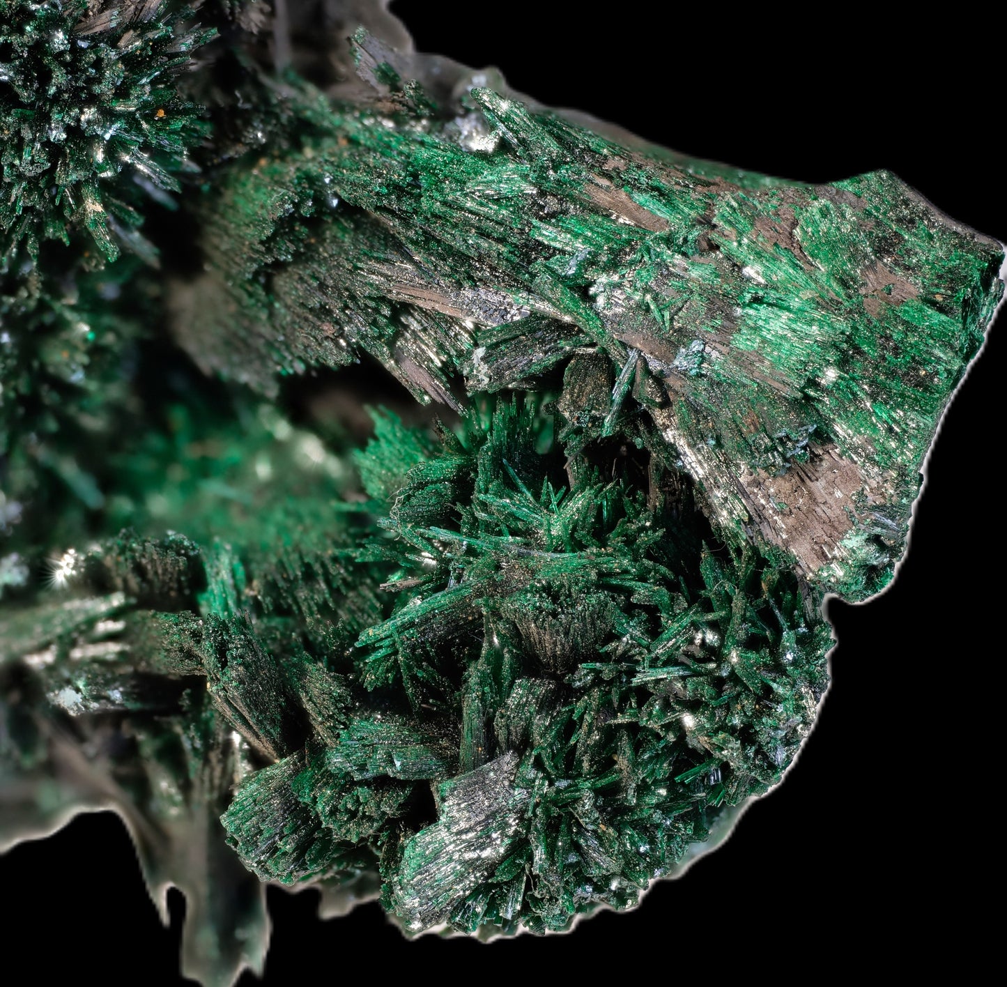 Chatoyant Malachite after Baryte