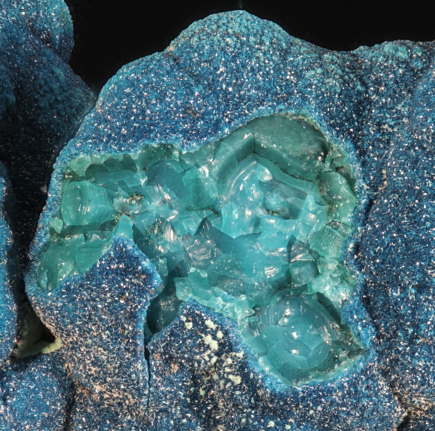 Cornetite with Chrysocolla, Pseudomalachite and Heterogenite