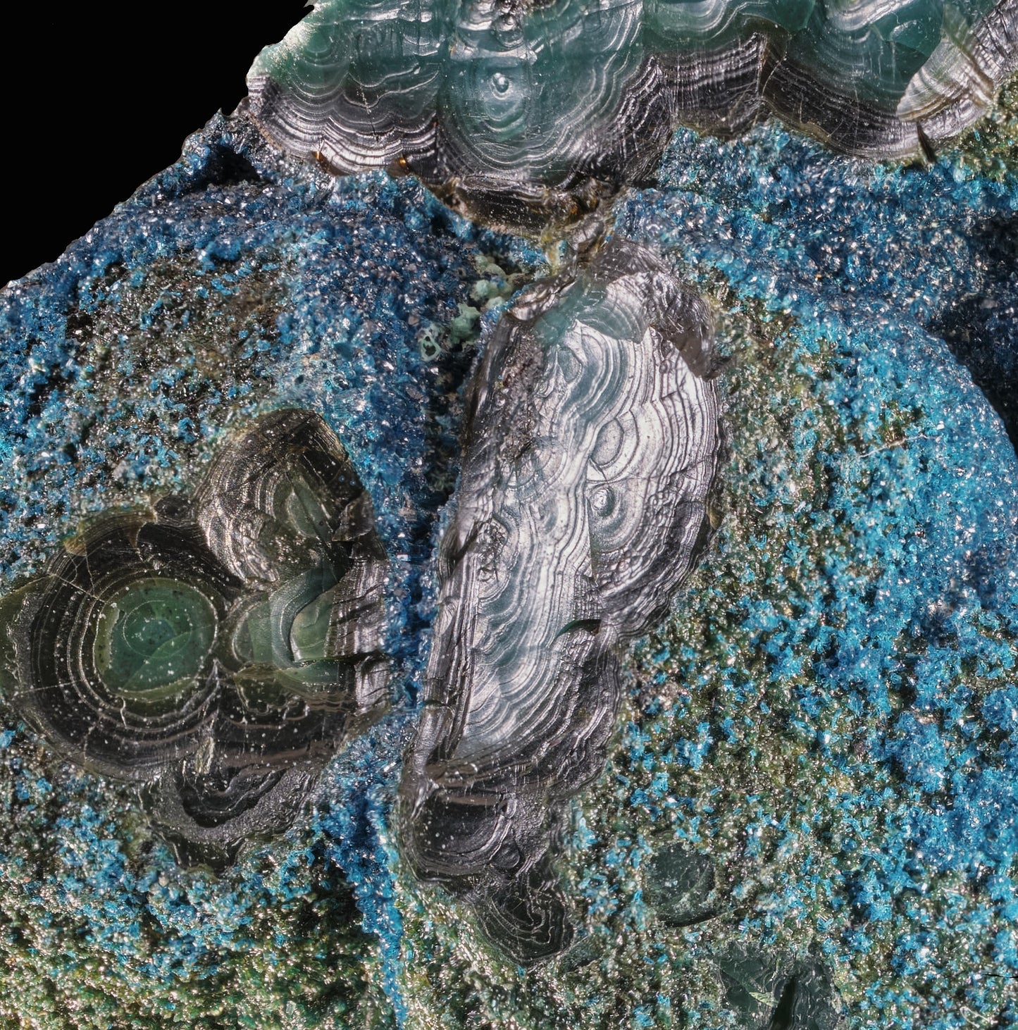 Cornetite with Chrysocolla, Pseudomalachite and Heterogenite