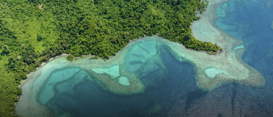 Cornetite with Gel Chrysocolla and Malachite