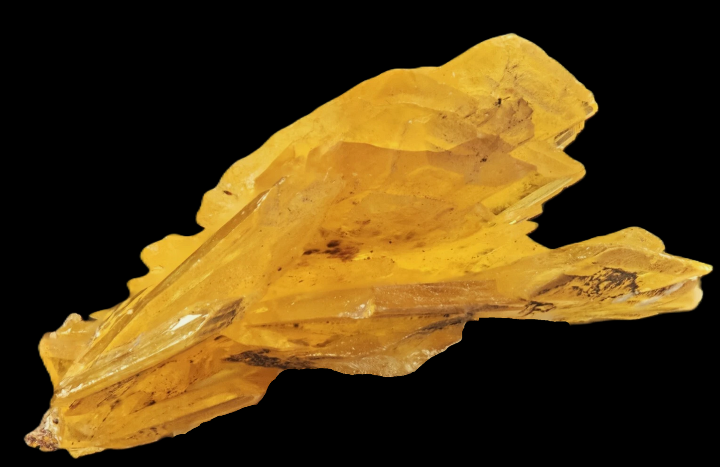 Wulfenite