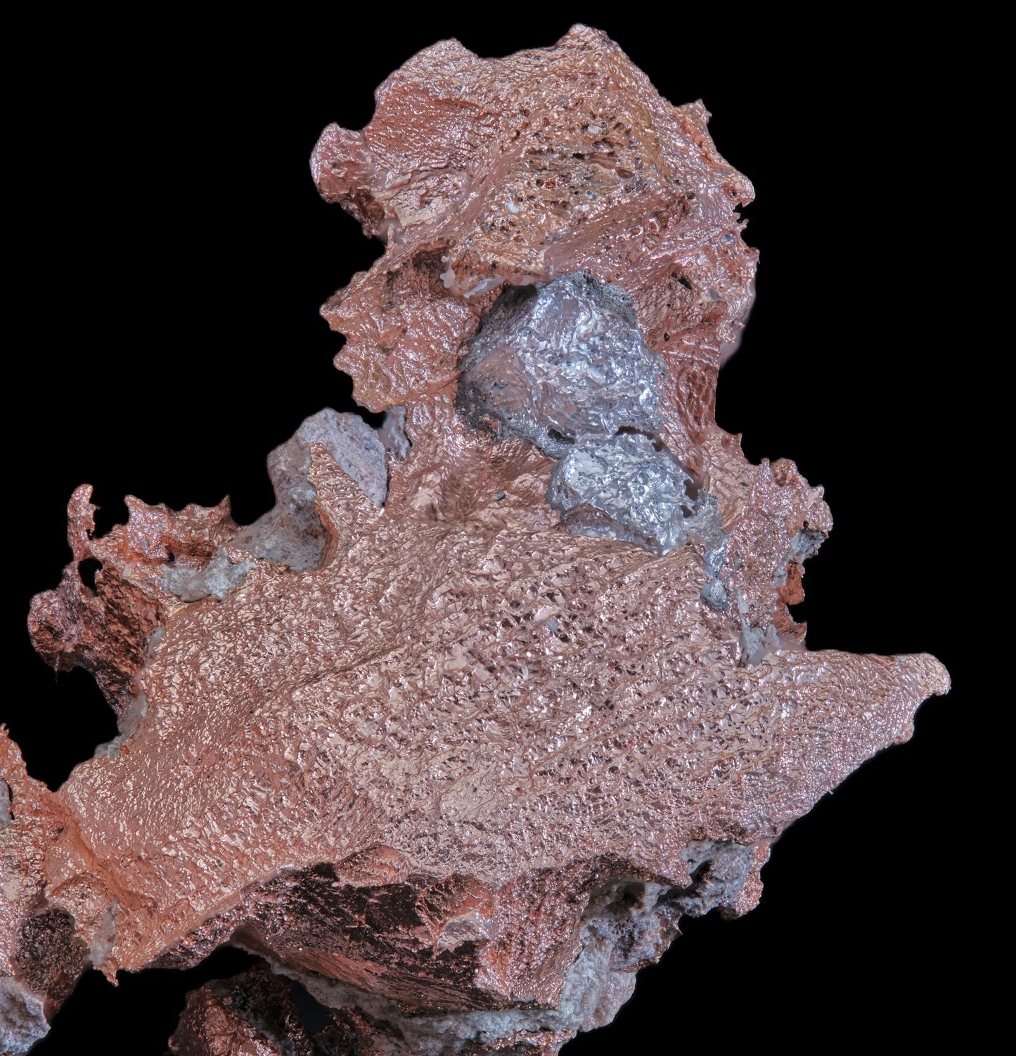 Copper-Silver Halfbreed