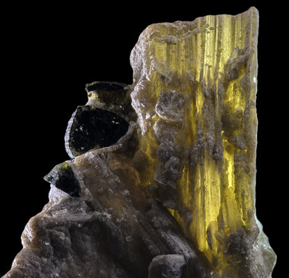 Tourmaline on Muscovite with Lepidolite and Albite