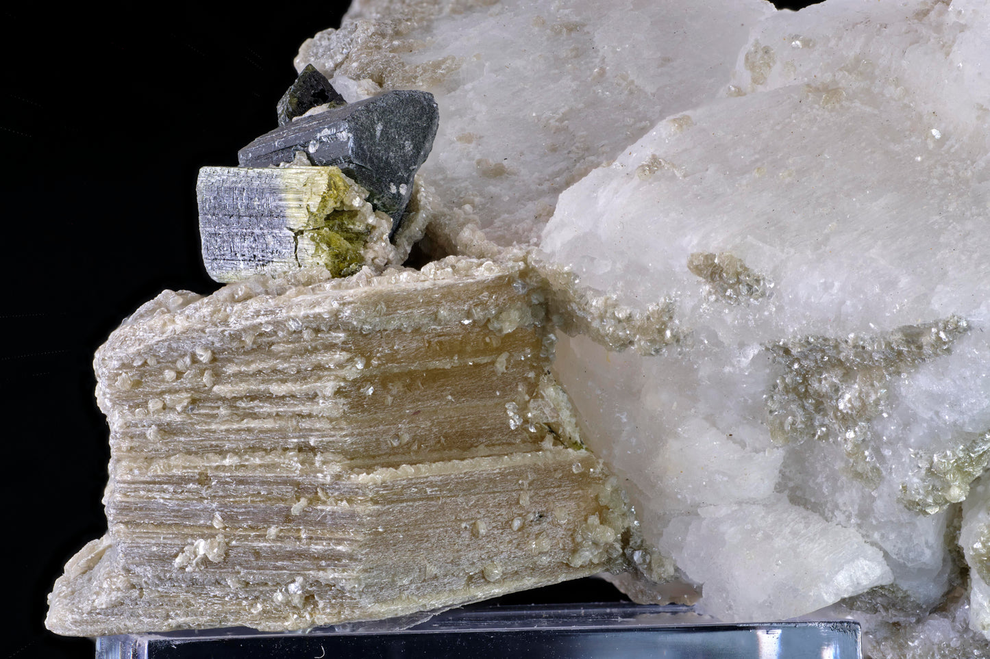 Tourmaline on Muscovite with Lepidolite and Albite