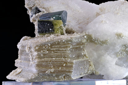 Tourmaline on Muscovite with Lepidolite and Albite