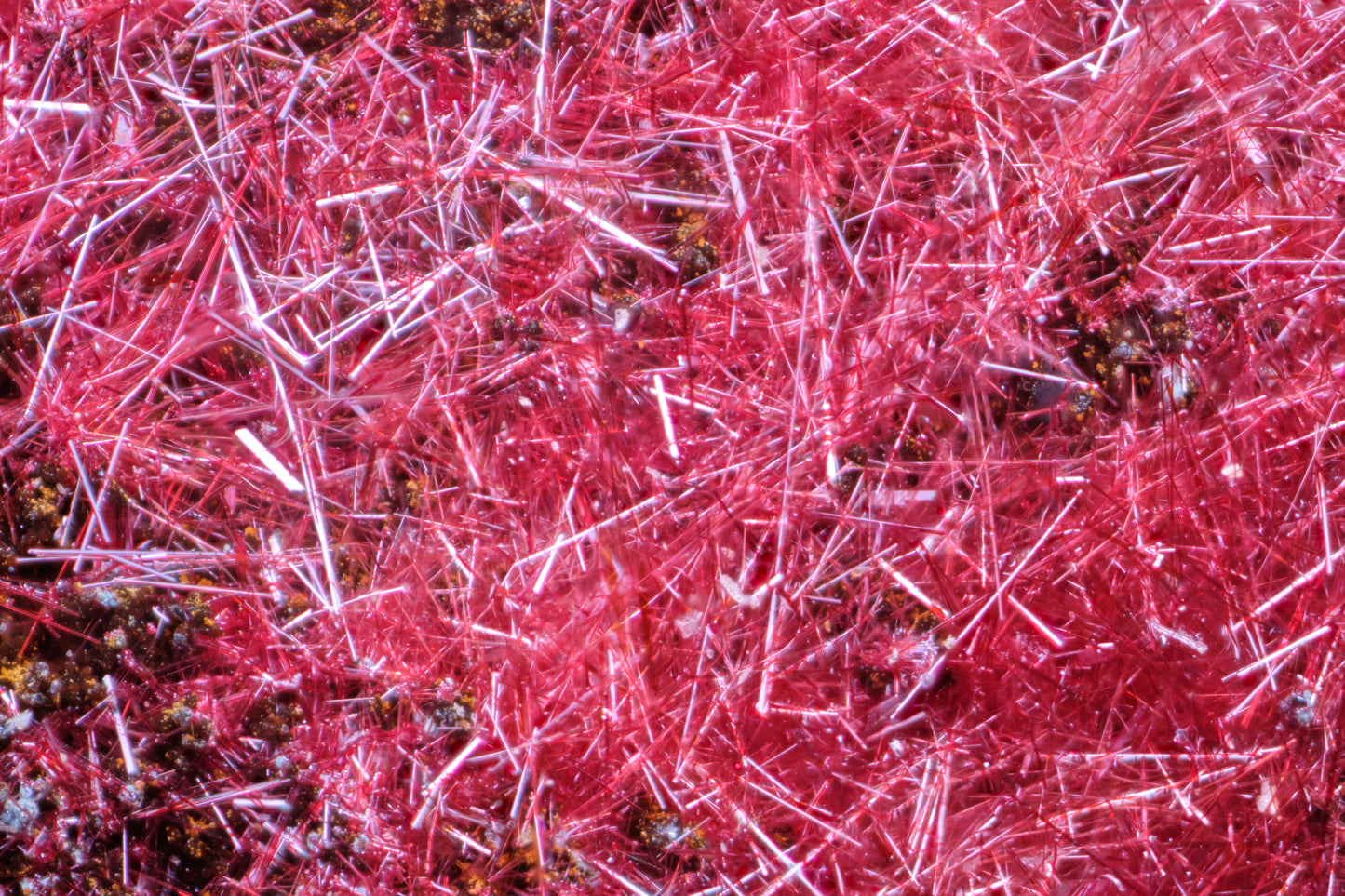 Cuprite (Var: Chalcotrichite)