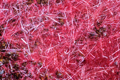 Cuprite (Var: Chalcotrichite)