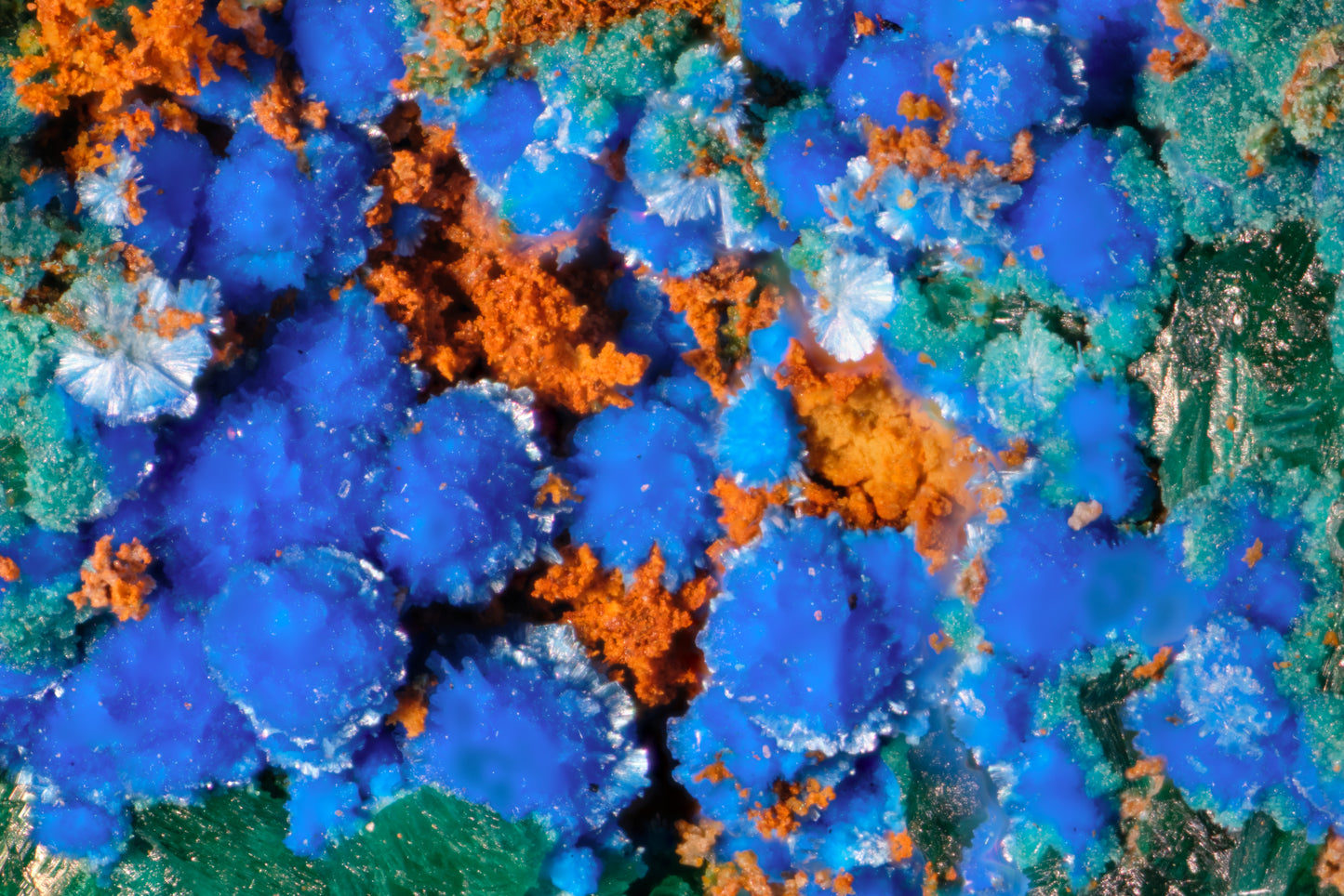 Cyanotrichite with Brochantite