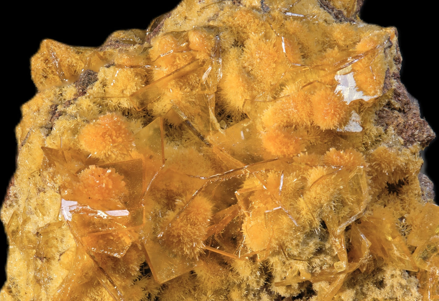 Mimetite on Wulfenite