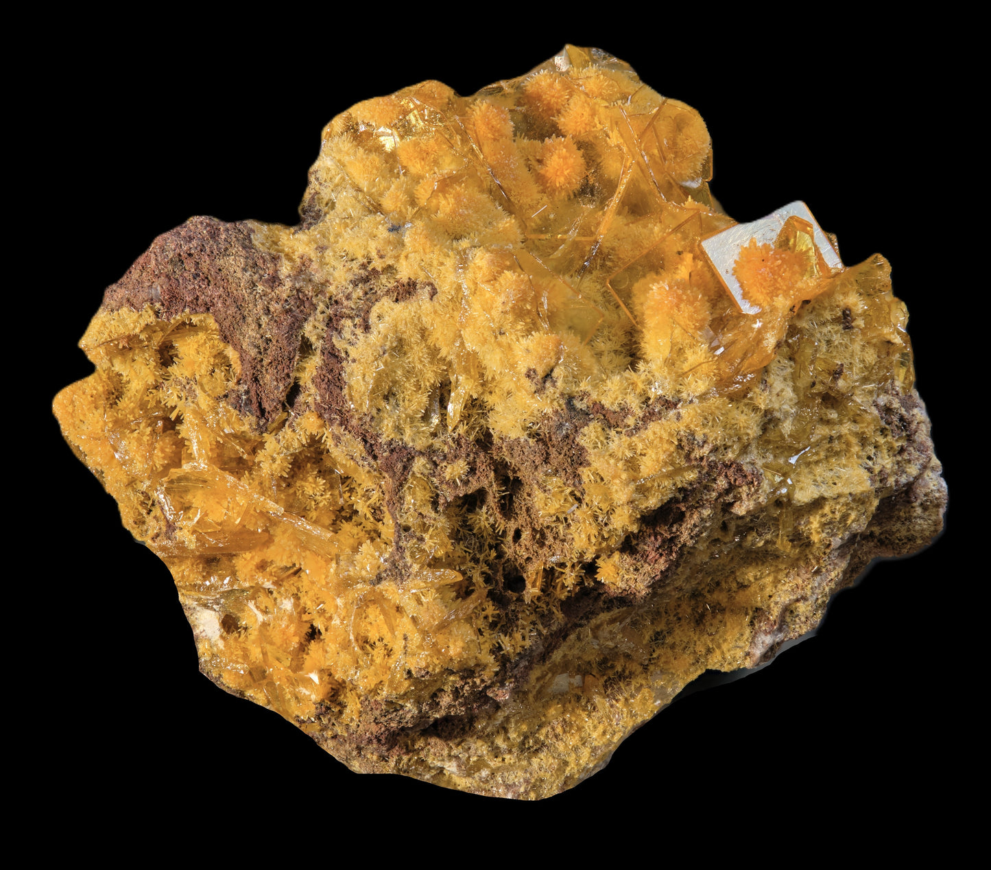 Mimetite on Wulfenite