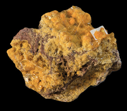 Mimetite on Wulfenite
