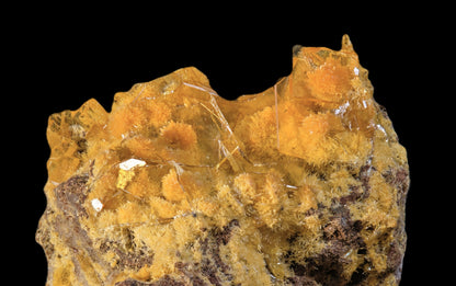 Mimetite on Wulfenite