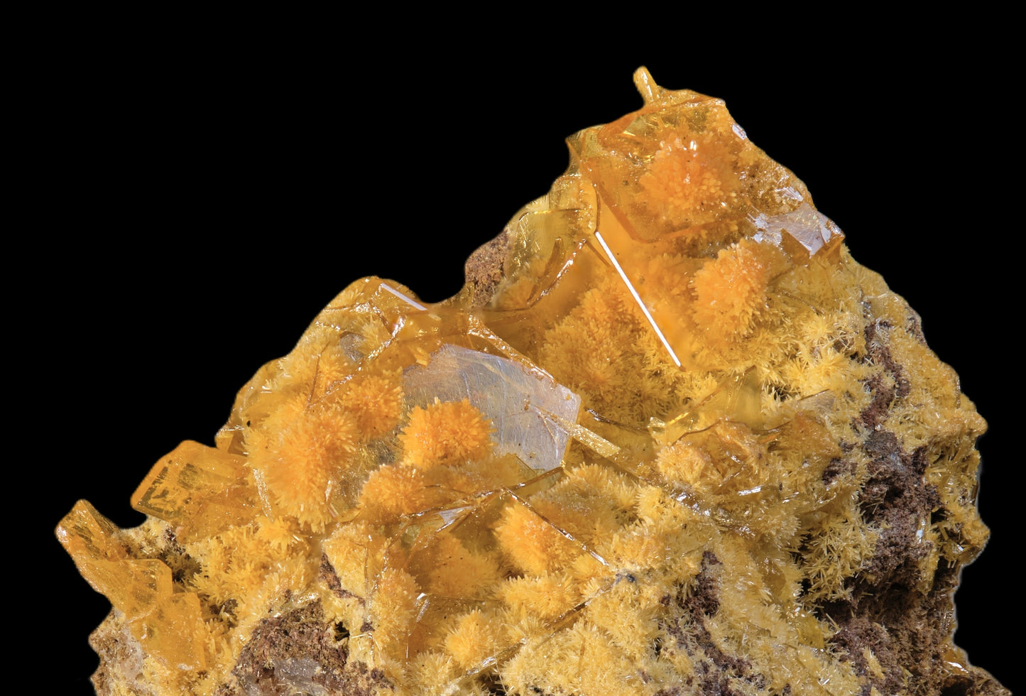 Mimetite on Wulfenite