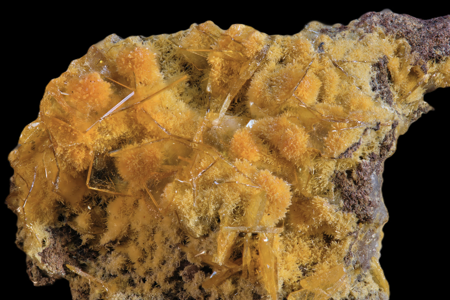 Mimetite on Wulfenite