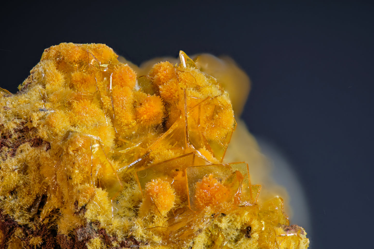 Mimetite on Wulfenite