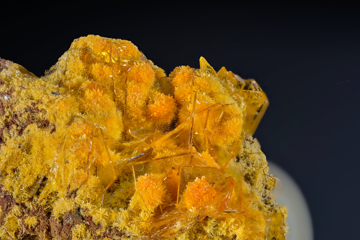 Mimetite on Wulfenite