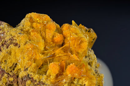 Mimetite on Wulfenite