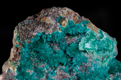 Dioptase with Chrysocolla and Apophyllite