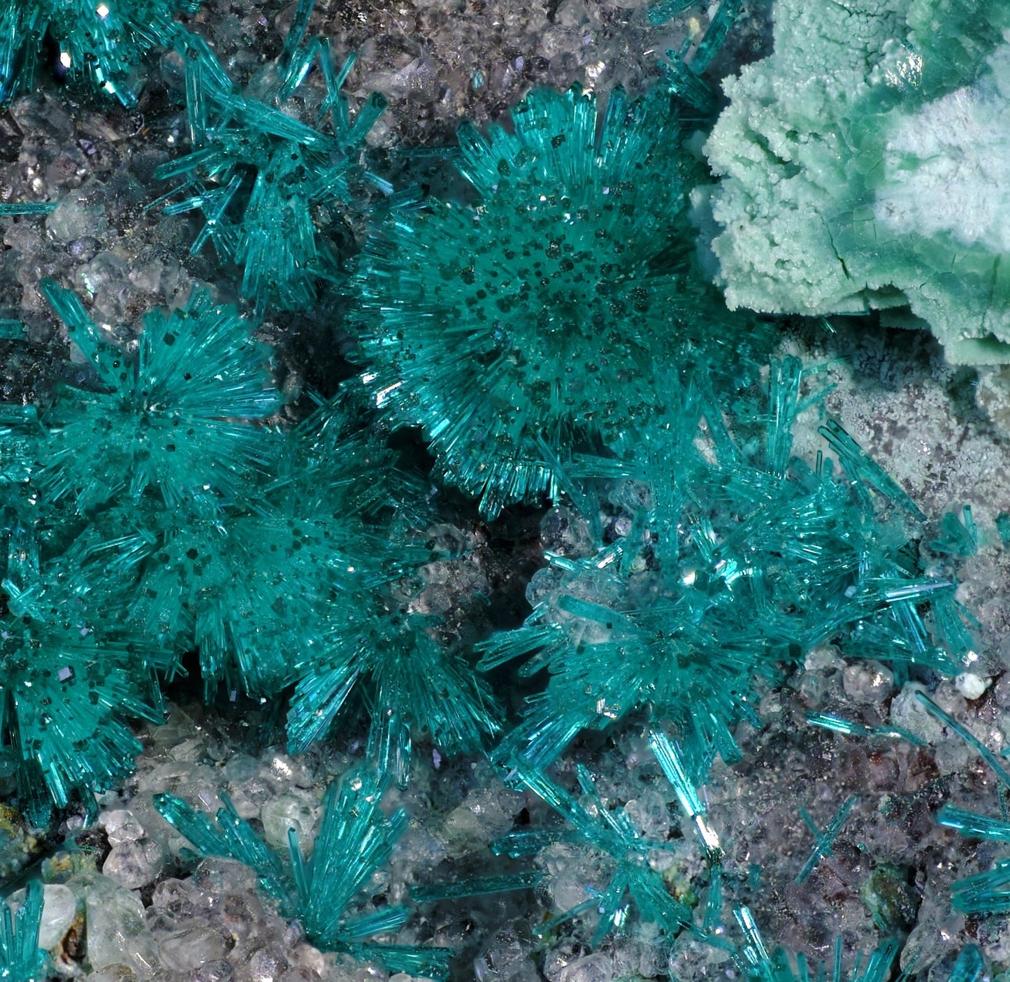 Dioptase with Chrysocolla and Apophyllite