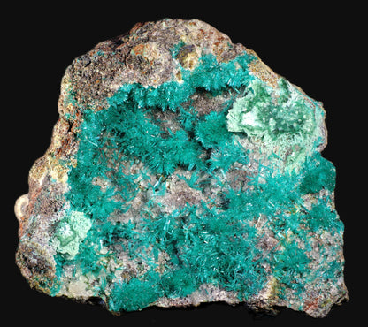 Dioptase with Chrysocolla and Apophyllite