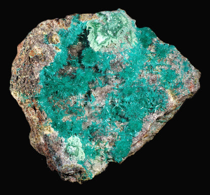 Dioptase with Chrysocolla and Apophyllite