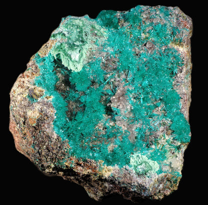 Dioptase with Chrysocolla and Apophyllite