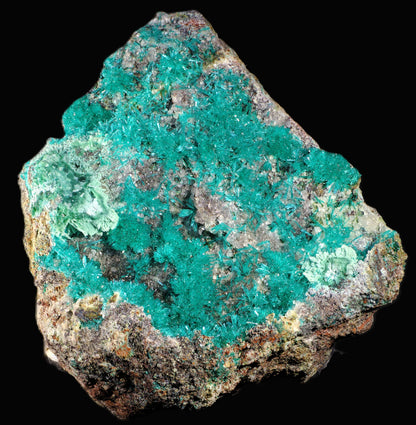 Dioptase with Chrysocolla and Apophyllite