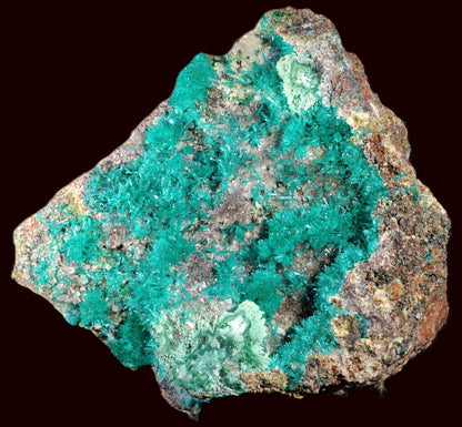 Dioptase with Chrysocolla and Apophyllite