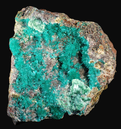 Dioptase with Chrysocolla and Apophyllite