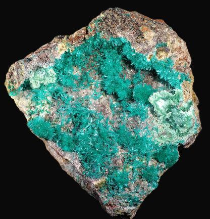 Dioptase with Chrysocolla and Apophyllite