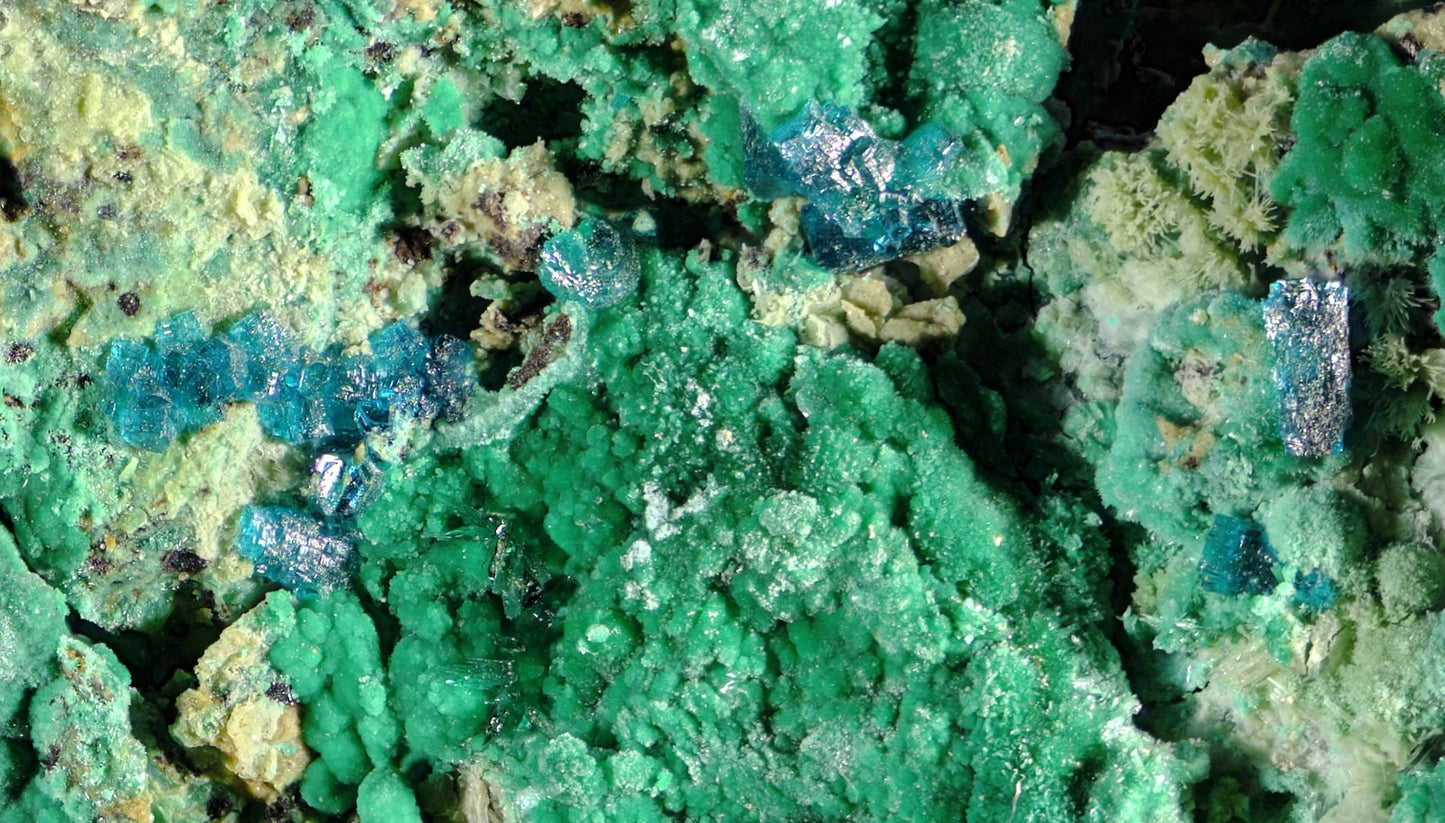 Spangolite with Malachite