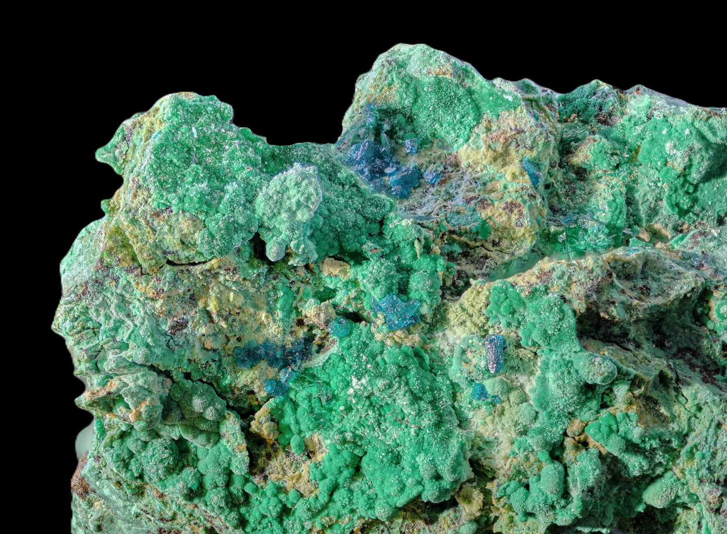 Spangolite with Malachite
