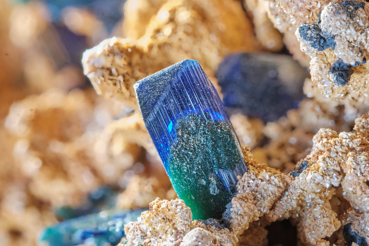 Azurite Crystals with Botryoidal Malachite