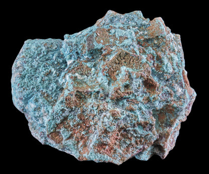 Copper Ps. After Aragonite with Chrysocolla