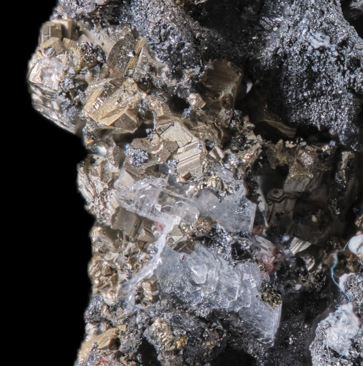 Bournonite with Chalcopyrite