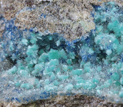 Dioptase with Kinoite and Apophyllite