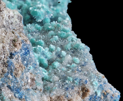 Dioptase with Kinoite and Apophyllite