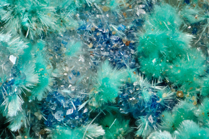 Dioptase with Kinoite and Apophyllite