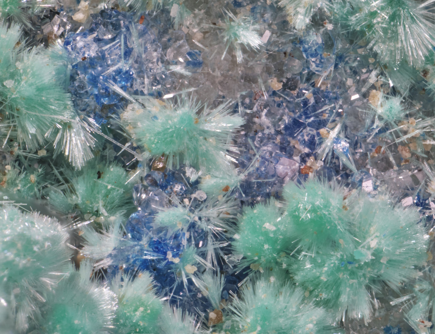 Dioptase with Kinoite and Apophyllite