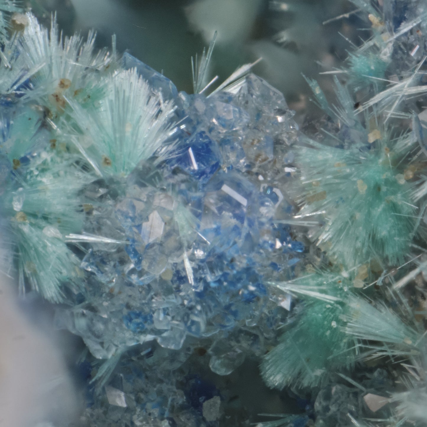 Dioptase with Kinoite and Apophyllite