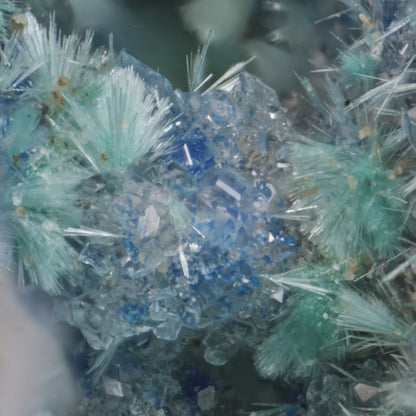 Dioptase with Kinoite and Apophyllite